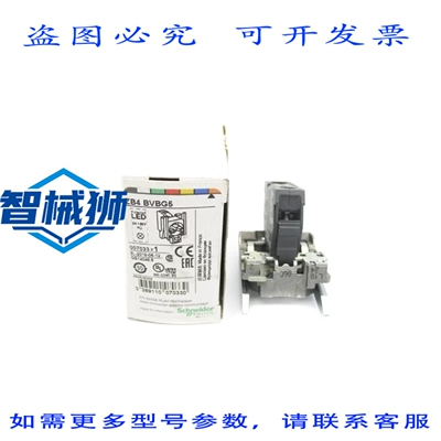 原装供应 ZB4BVBG5 NSMP