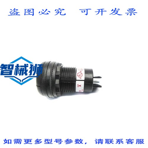 原装供应 罗克韦尔AB 855P-B10SH22 A 系列 120VAC NSNP