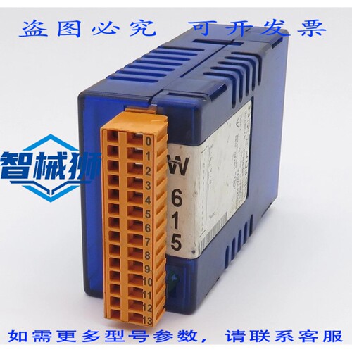 原装供应 SAIA BURSS P3.W615 输出模块 模拟输出模块 4 通道 0-2