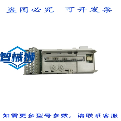 原装供应 3BSE013230R1 TU810V1 NSNP