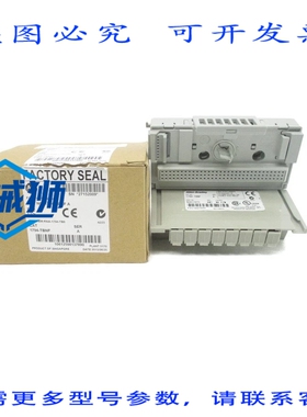 原装供应 罗克韦尔AB 1794-TBNF 系列A 250VDC/AC 10A REV.A01 NS
