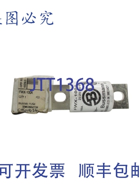 原装供应BUSSMANN FWX-100A 250VAC 100A WH/WH NSMP