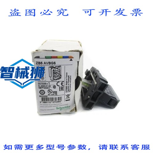 原装供应 ZB5AVBG5 24-120V NSMP