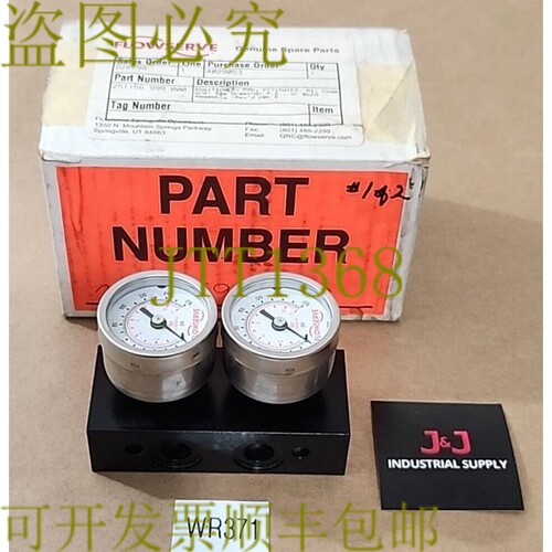 原装供应新 Flowserve 251156.999.000 PMV PT715W1E2 2 仪表 +