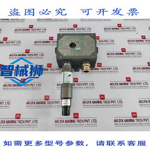 原装供应 无锡 GLT TS4000C-II PUNTO TIPO TOSSICI RILEVATORE