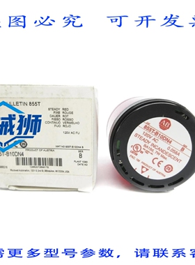 原装供应 罗克韦尔AB 855T-B10DN4 SER.B 120VAC 0.058A NSMP
