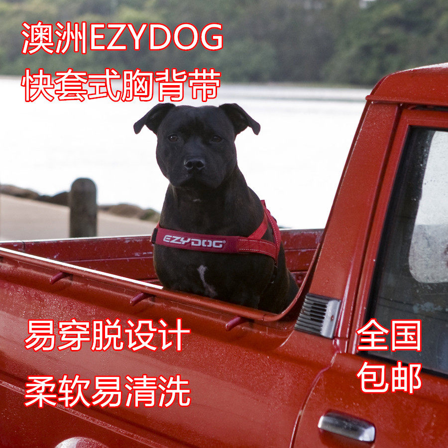 澳洲EZYDOG易吉狗 狗狗快套式胸背带 防爆冲胸背牵引带