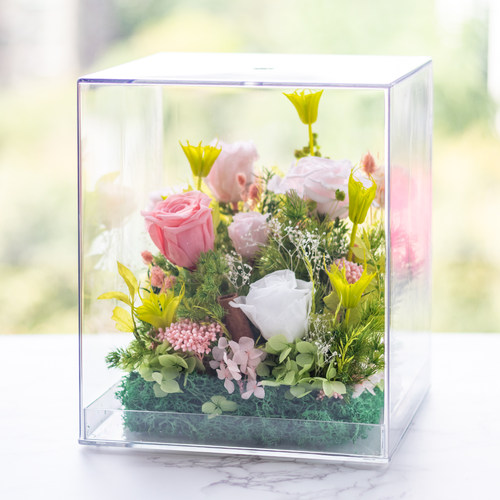 亚克力透明永生花盒情人节礼物