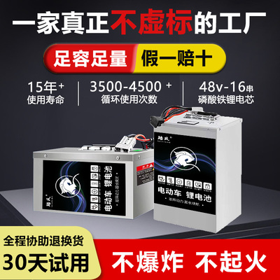 电动车全新宁德磷酸铁锂电池60V