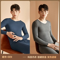 [Бактербиноскопическое отопление скорости антидитации] серого+глубоко морской синий