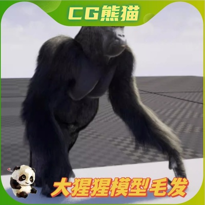 UE5虚幻5 Gorilla with groom 大猩猩3D模型带动画毛发