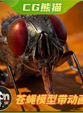UE5虚幻5 Animalia - Housefly 高品质苍蝇模型带动画
