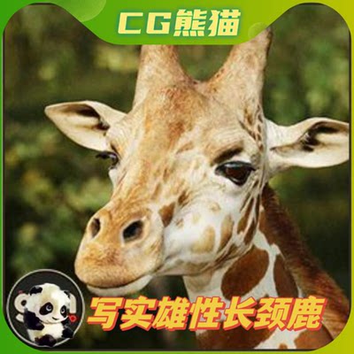 UE4虚幻5 Animalia - Giraffe (male) 雄性长颈鹿模型带动画