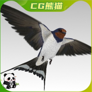 写实鸟类燕子家燕雨燕模型带动画 Swallow UE5虚幻5 Barn