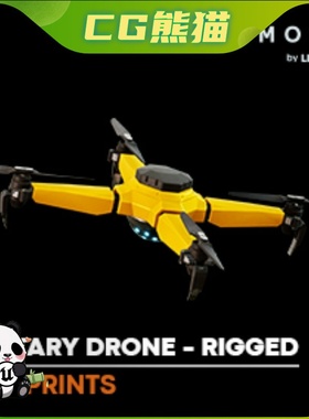 UE4虚幻5 Military Drone - Rigged BP Controllable 无人机