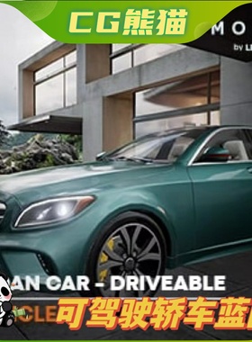 UE5虚幻5 Sedan Car Driveable Animated Realistic 可驾驶轿车