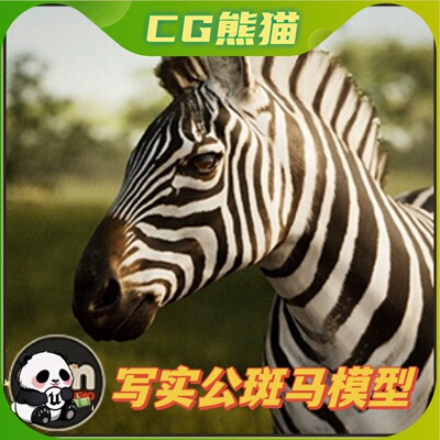 UE4虚幻5 Animalia - Zebra (male) V2.3.0 写实公斑马模型动画