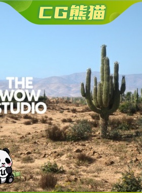 UE5虚幻5.3-5.7 TWS Rocky Desert Biome 高品质岩石沙漠生物群落