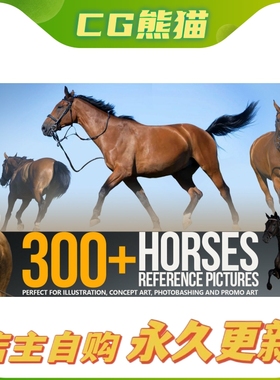 Artstation素材 300+ Horses Reference Pictures  马匹参考图片