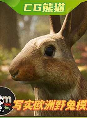 UE4虚幻5 Animalia - European Rabbit 写实兔子野兔模型动画