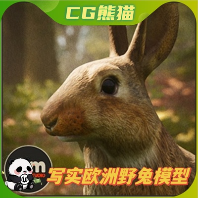 UE4虚幻5 Animalia - European Rabbit 写实兔子野兔模型动画