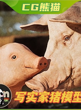 UE4虚幻5 Animalia - Pig (pack) 写实猪猪模型含动画 永久更新