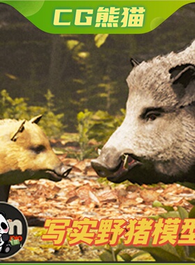 UE4虚幻5  Animalia - Wild Boar (pack) 写实野猪模型动画