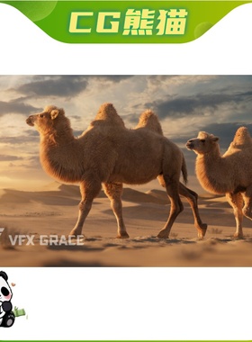 Blender Bactrian Camel Animated 双峰骆驼角色SD模型