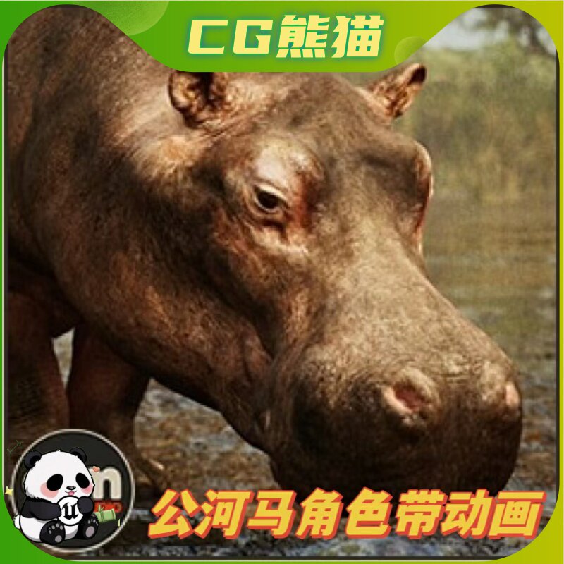 UE5虚幻5 Animalia - Hippopotamus (male) 公河马角色模型带动画