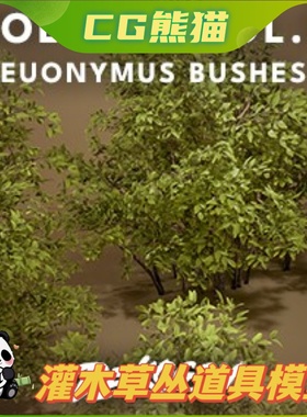UE5虚幻5 Foliage VOL.5 - Euonymus Bushes 高品质灌木草丛道具