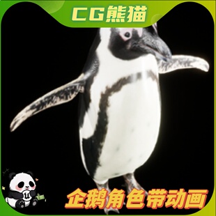 UE5虚幻5 Penguin 阿德利企鹅角色模型带动画