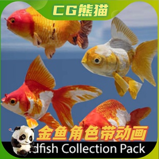 UE5虚幻5 Goldfish Collection Pack 金鱼角色带动画