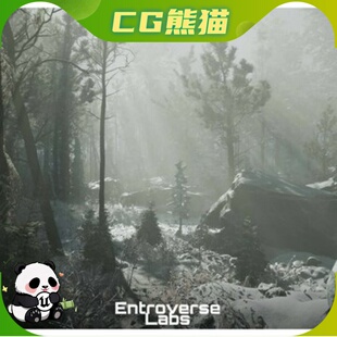 UE5虚幻5 Taiga Biome Environment 泰加林生物群落环境 乐器咨询