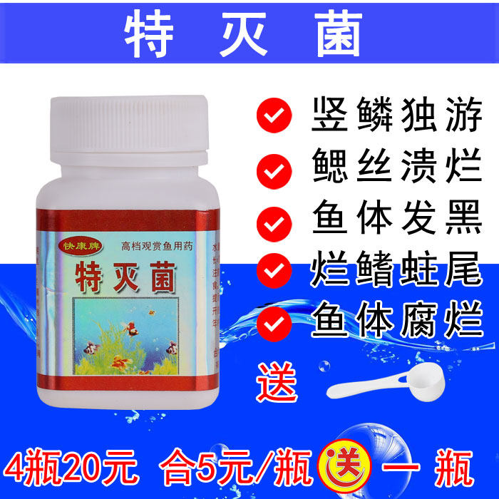 特灭菌鱼药金鱼烂嘴鱼黑斑病鱼黑纱病