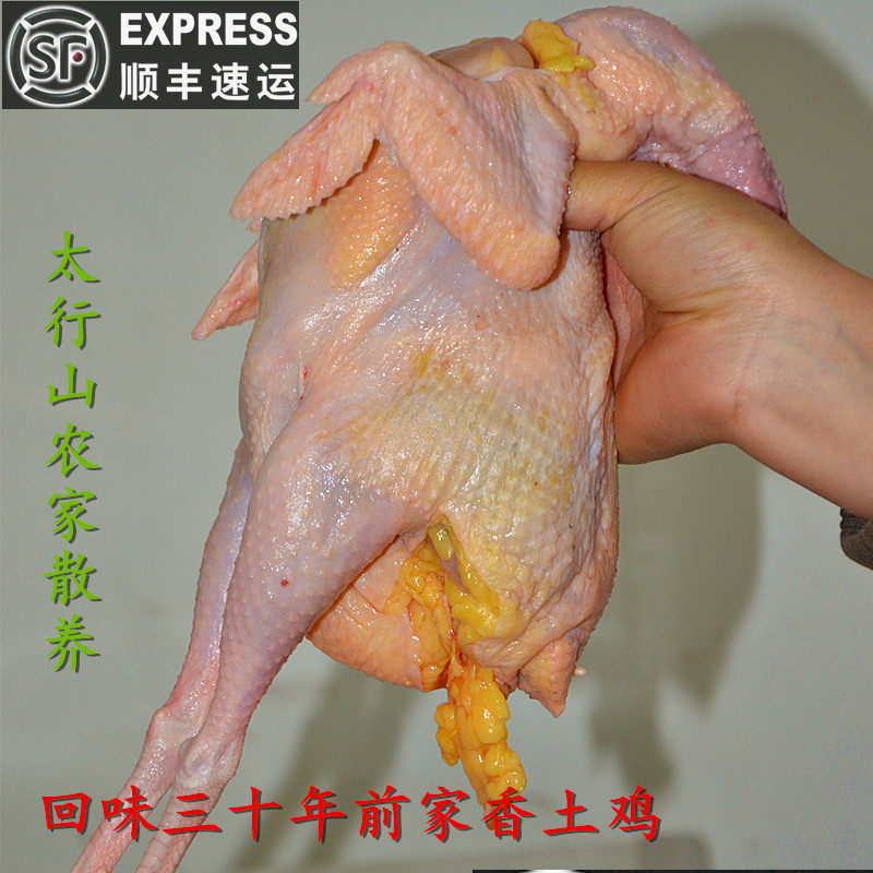 3年老母鸡正宗土鸡农家散养走地鸡柴鸡乡下笨鸡新鲜整只月子鸡肉