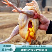 1500天老母鸡纯土鸡笨鸡柴鸡太行山农家散养走地鸡乡下农村整只鸡