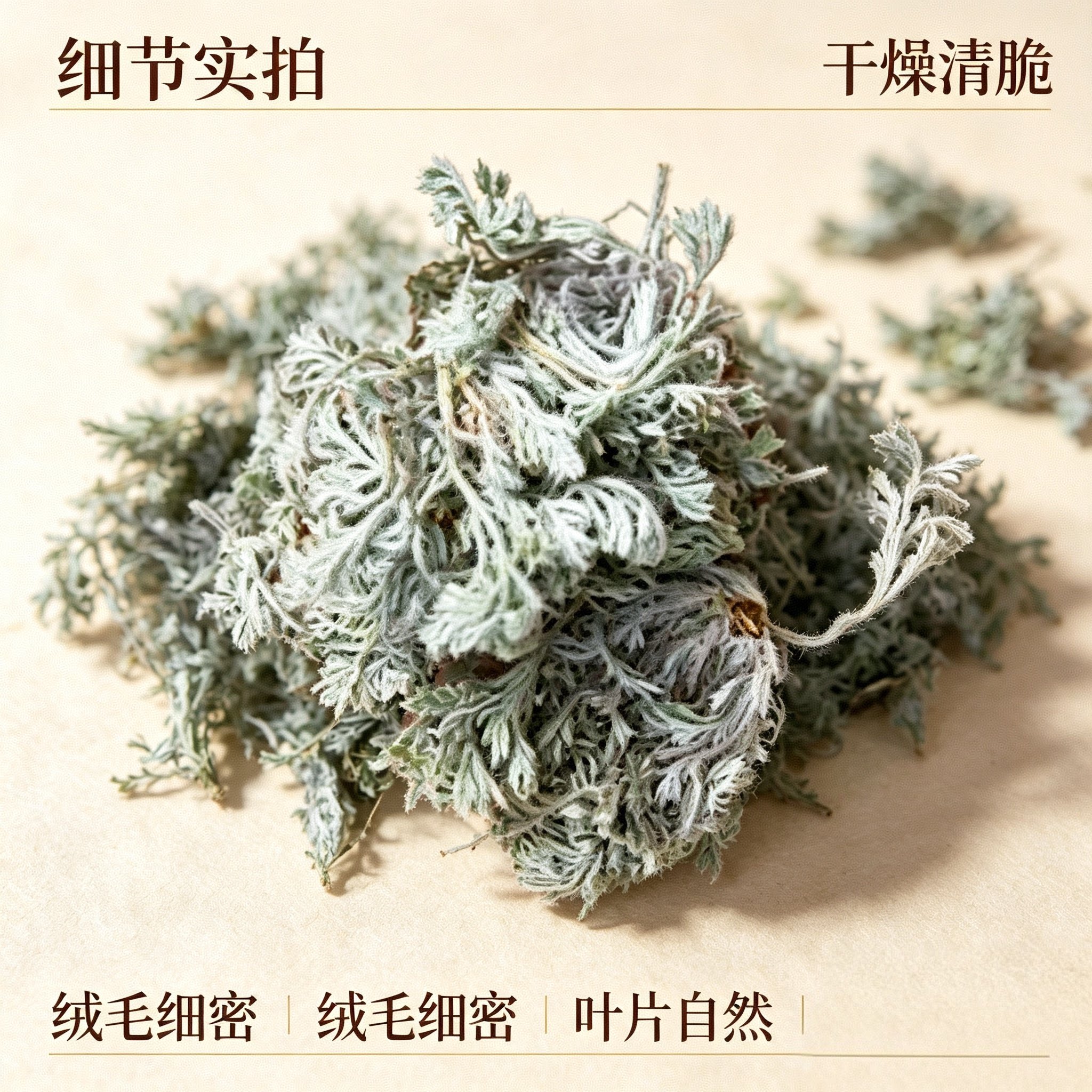 2026年野生茵陈草整颗干品三月白蒿新鲜棉茵陈茶可搭红枣500g包邮