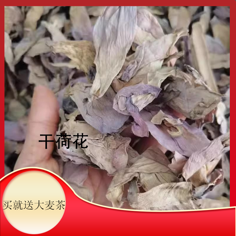 中药材 荷花 干荷花瓣 干莲花 干荷花瓣 荷花茶花蕾500克20元新货