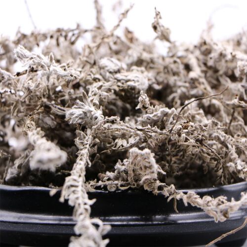 中药材野生鹿茸草六月霜千年艾千重塔白龙骨白地蜈蚣鹿茸草新鲜干