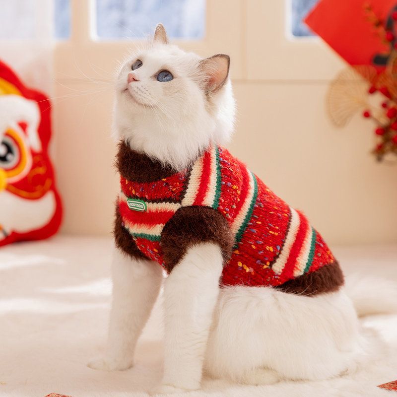 红色猫咪衣服秋冬新年彩色点点