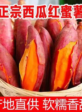 西瓜红蜜薯烤地瓜糖心流油黄心小