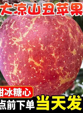 四川苹果丑苹果冰糖心整箱红富士