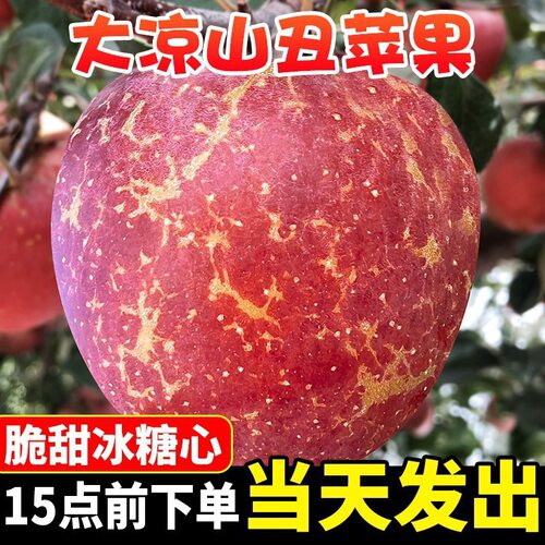 四川苹果丑苹果冰糖心整箱红富士