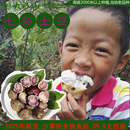 凉山布拖乌洋芋四川七彩土豆紫色红皮新鲜马铃薯5斤 舌尖2西昌 包邮