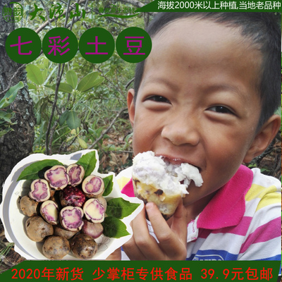 凉山布拖乌洋芋四川2马铃薯新鲜