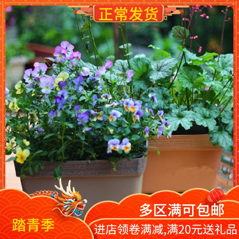 环球萨米特仿红陶长方形盆北欧简约大号塑料多肉粗陶长槽树脂厚盆