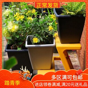 环球霍仑木棉盆大黑方形高深款欧月季铁线莲绣球水泥风素塑料花盆