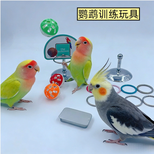 鹦鹉训练技能表演玩具用品