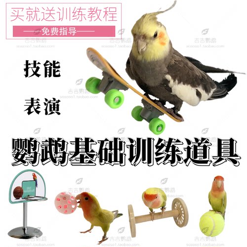 鹦鹉训练技能表演玩具用品