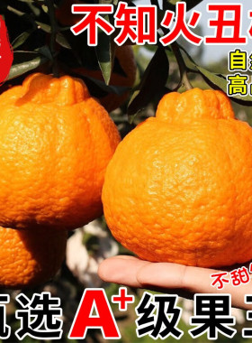 四川不知火丑橘10斤整箱包邮新鲜正宗耙耙丑八怪当季应季水果柑子